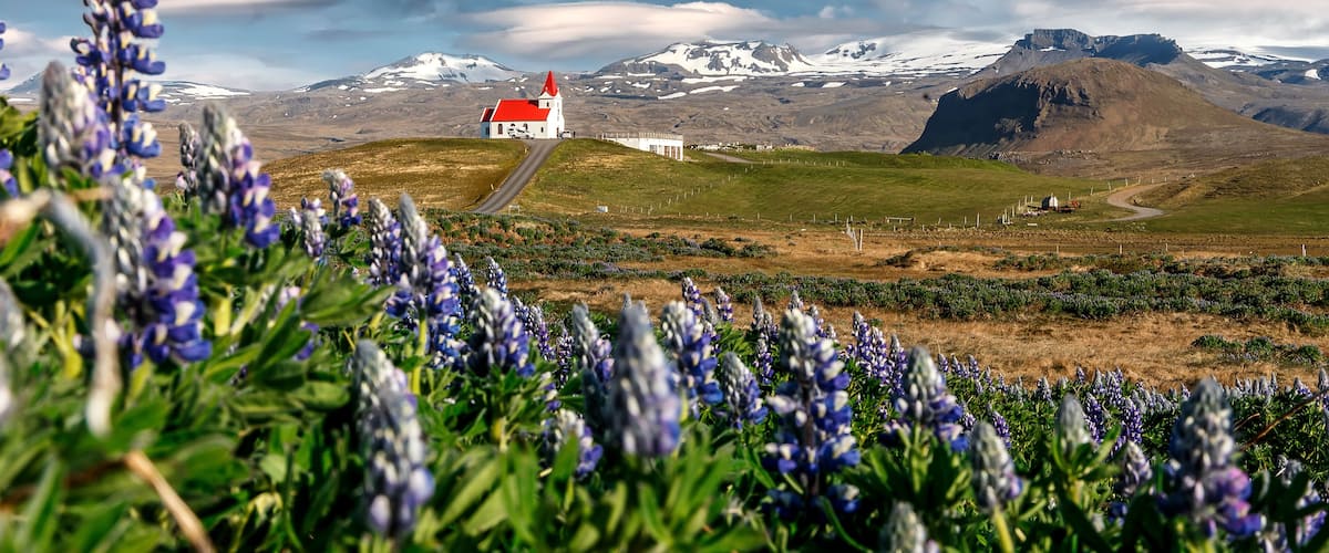 A red-roofed church in a field with purple flowers, snow-capped mountains, and a clear sky.
