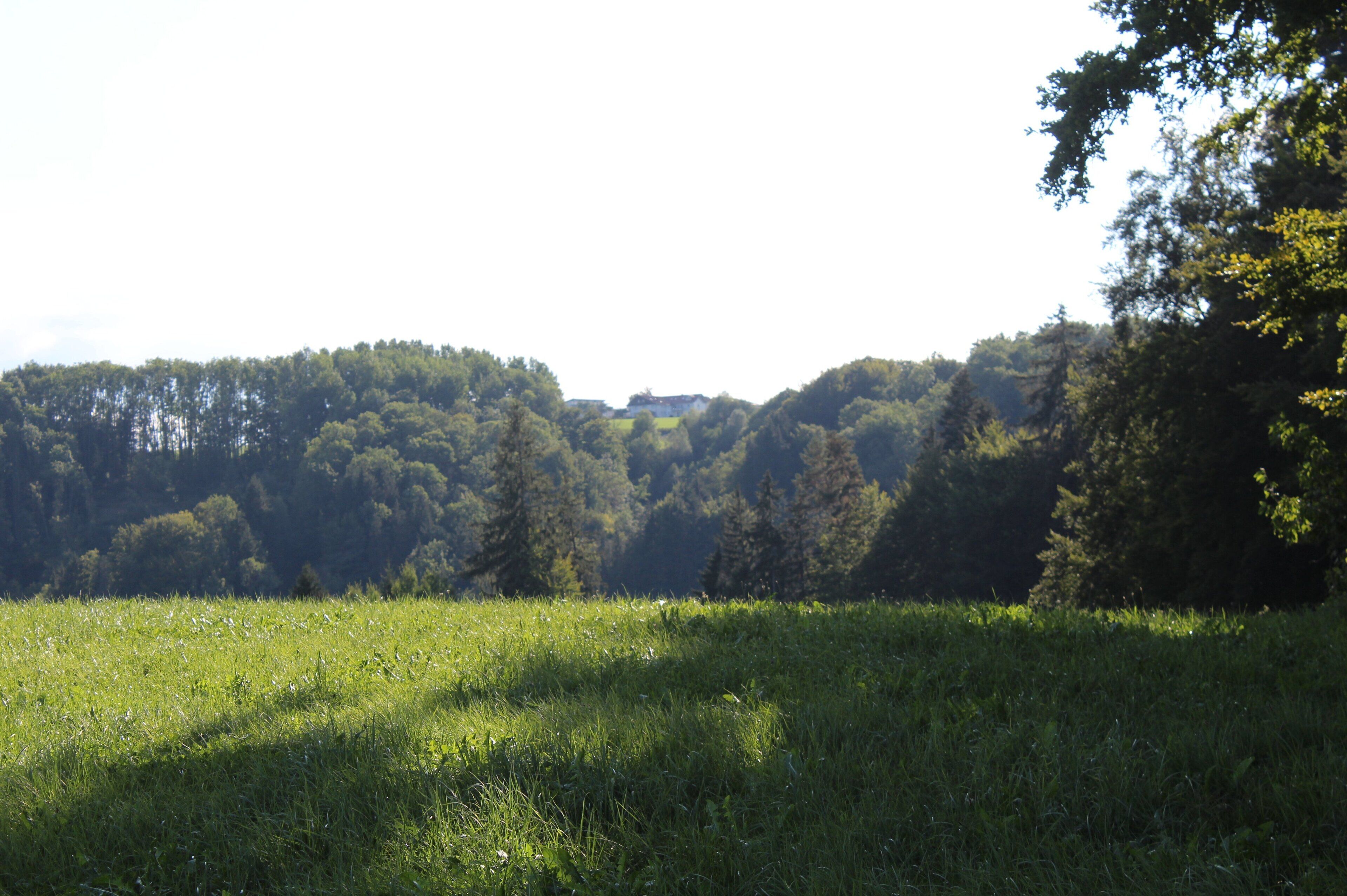 87463 Dietmannsried, Germany