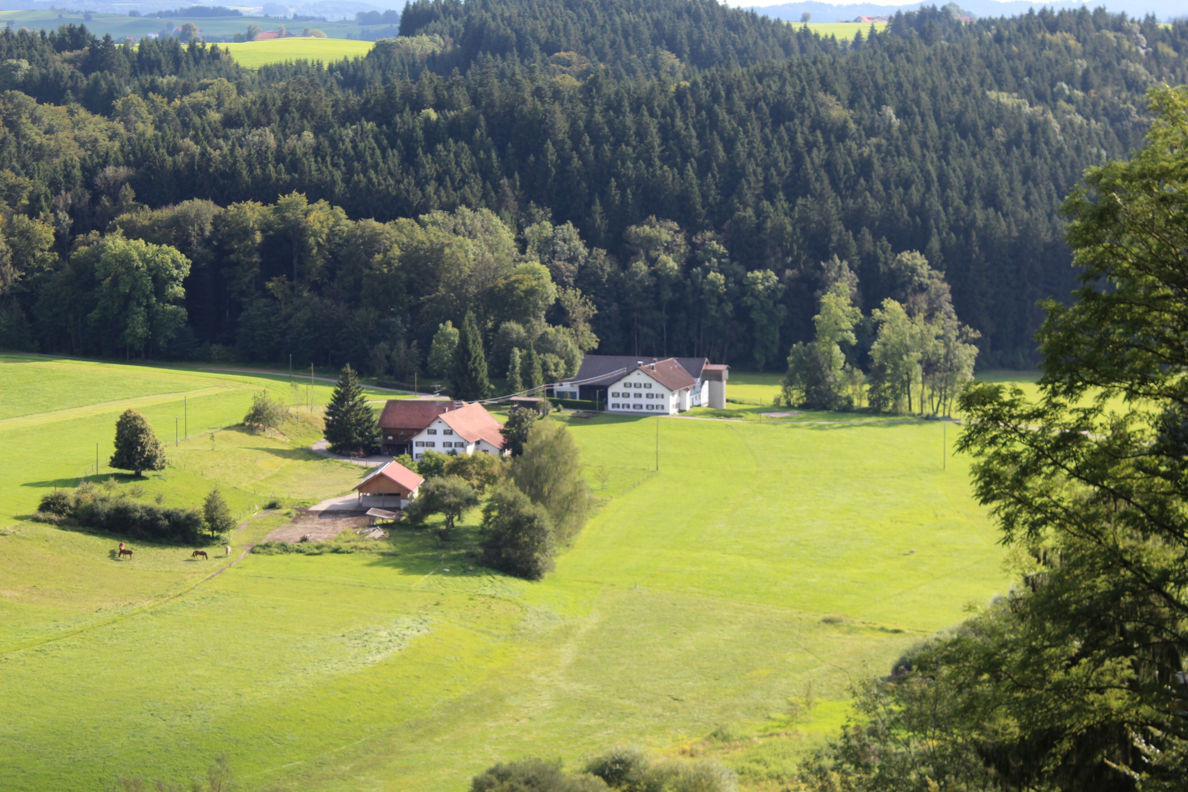 Fischers im Markt Altusried von Nordosten