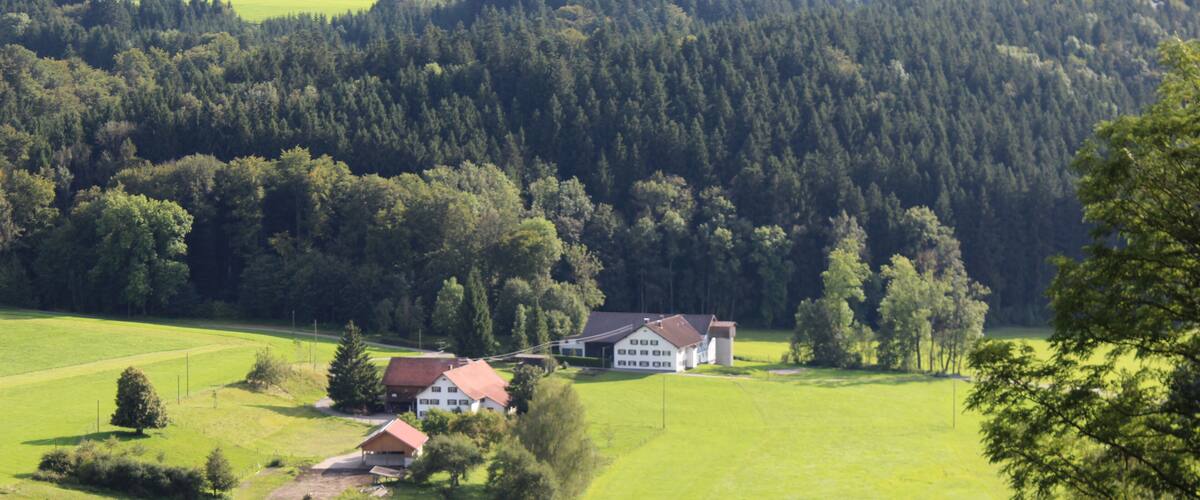 A rural landscape with a large house surrounded by green fields and a dense forest in the background.