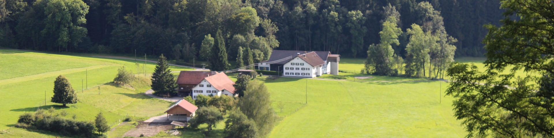 Un paisaje rural con una casa grande rodeada de campos verdes y un bosque denso al fondo.