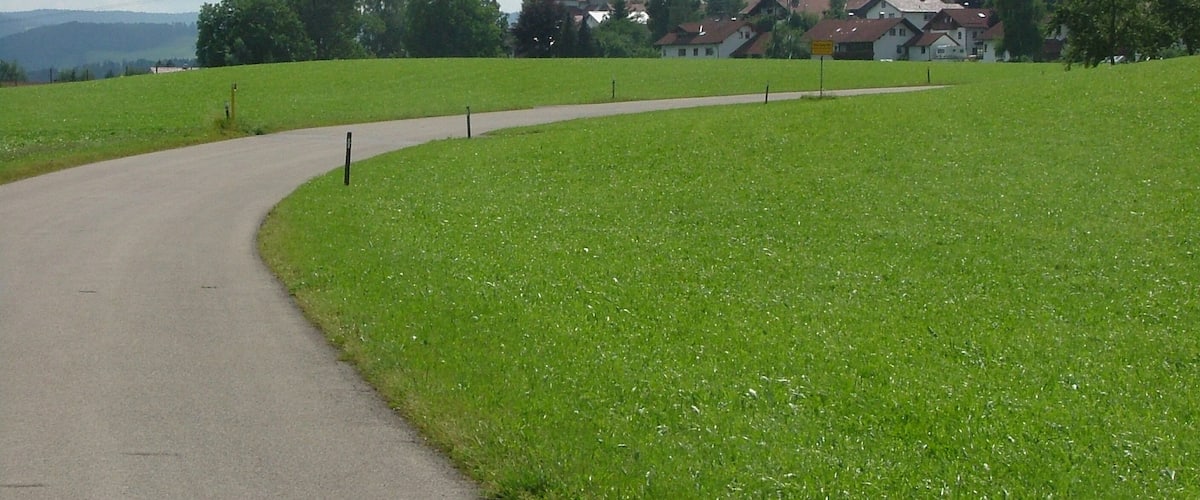 Reicholzried