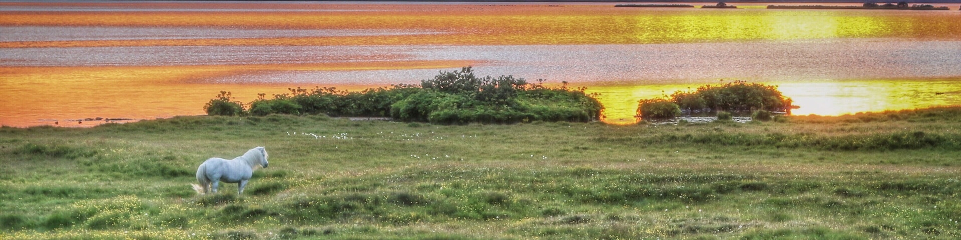 Fabulous lake in Northern Iceland. Great for bird spotting. We were returning from a late night whale watching trip in Husavik and spotted this somewhat magical scene. It looks horribly processed. It actually isn't, the colours were amazing