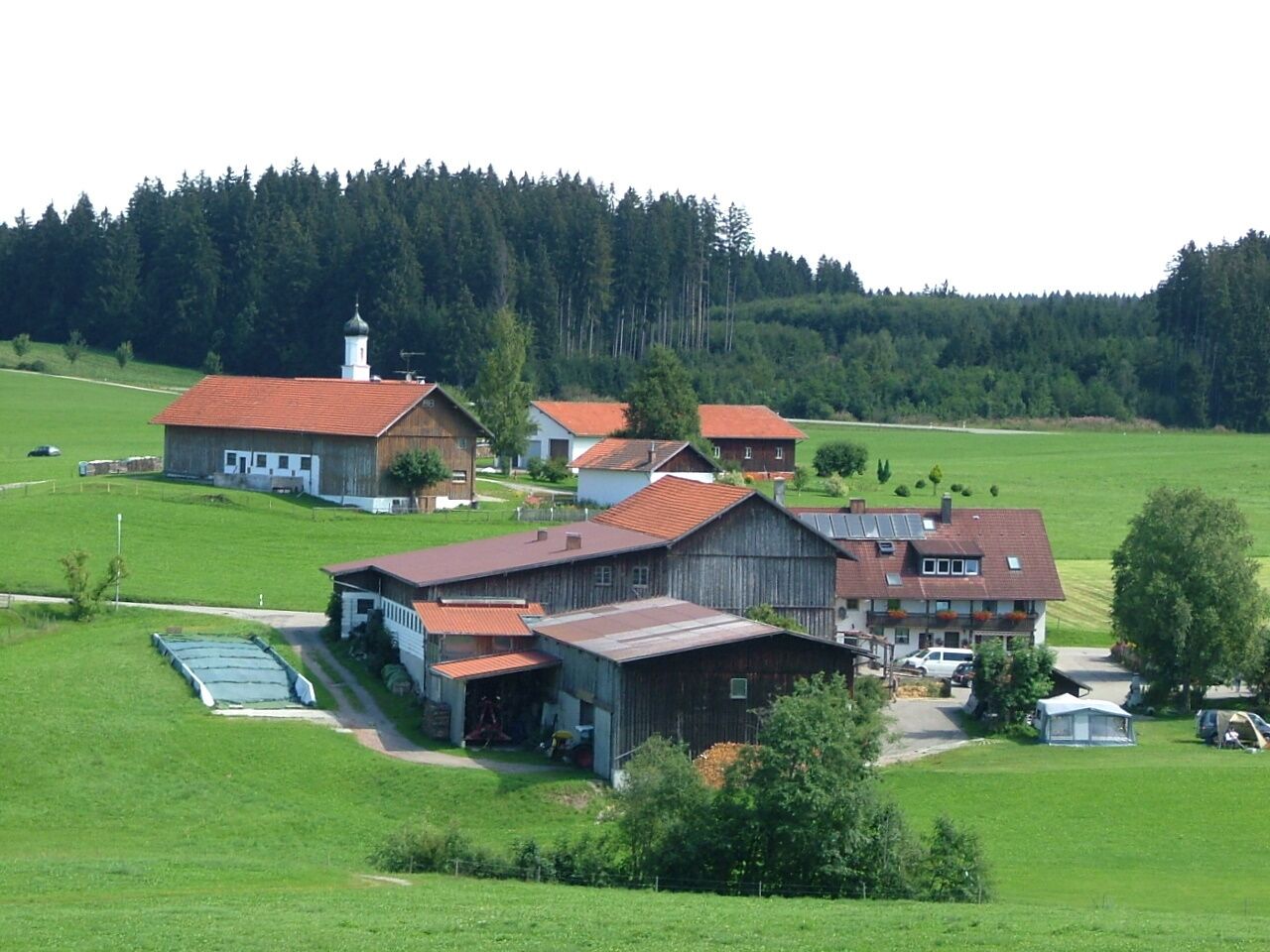Kohlhunden