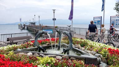 Bilder aus Wasserburg am Bodensee.