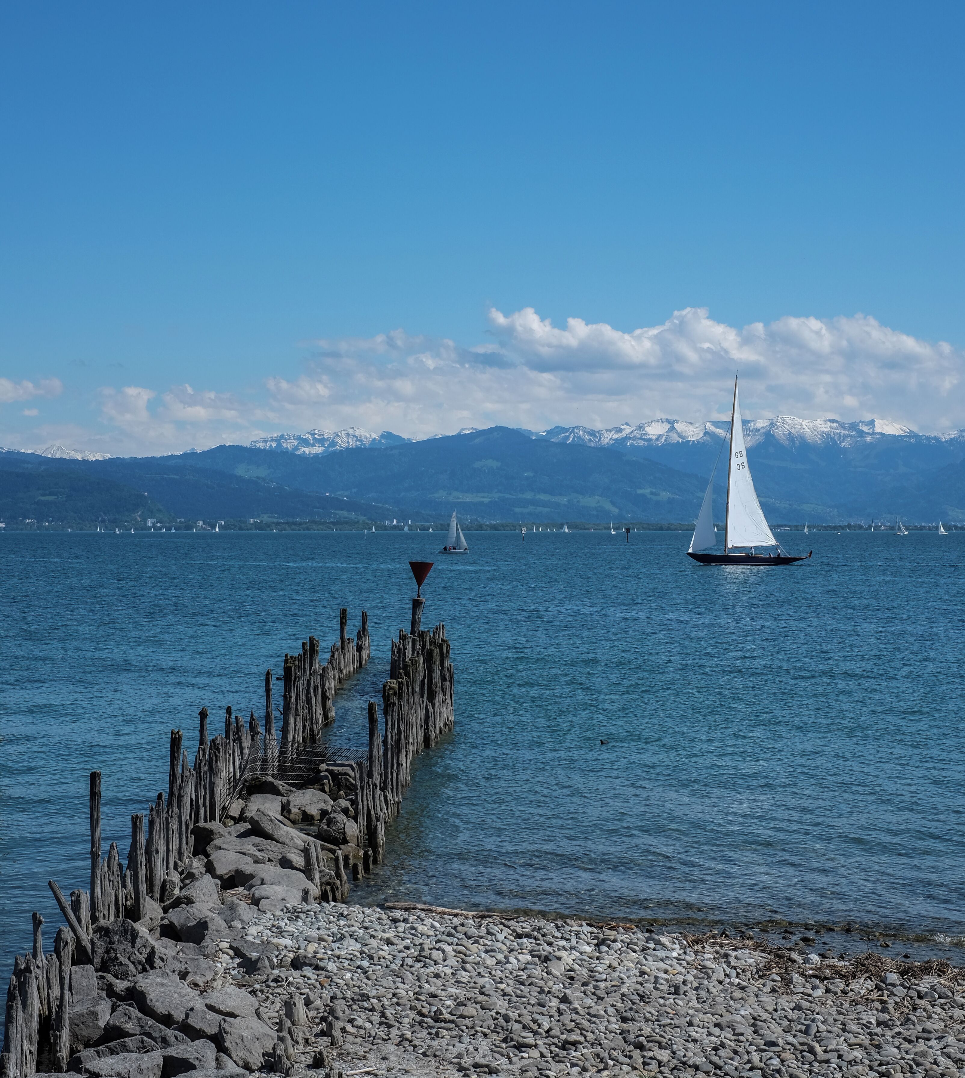 Sailboat near Wasserburg, Lake Constance, district Lindau, Bavaria, Germany