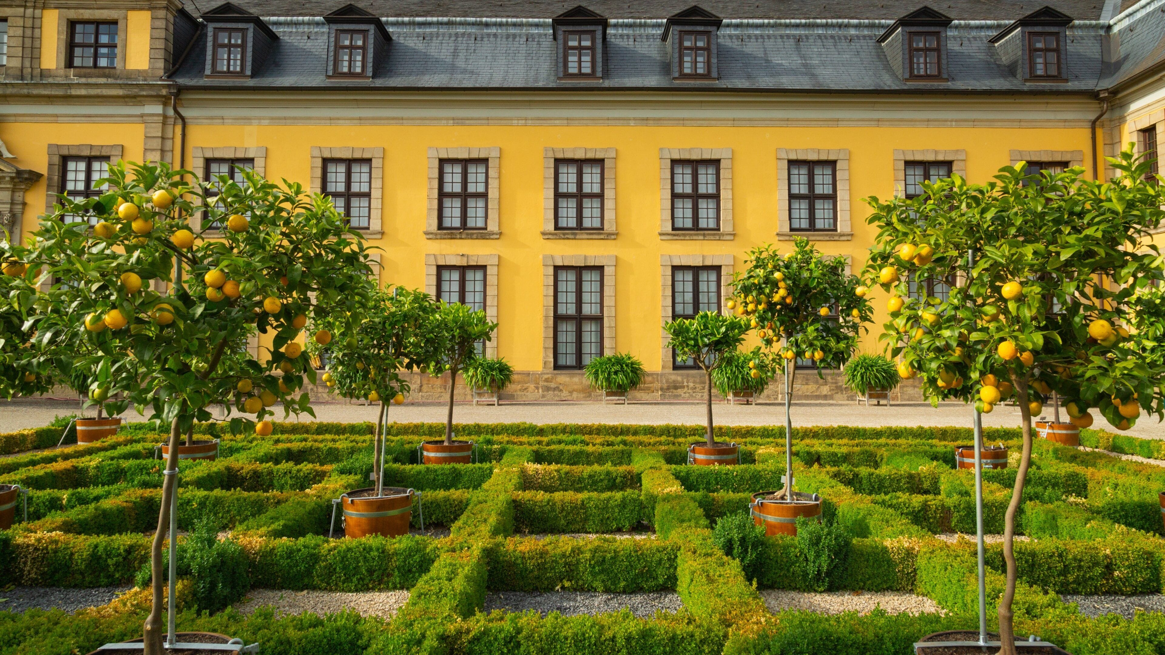 洋楽 Macht und Ehre - Herrenrasse CD Herrenhausen Gardens Tours - Book Now | Expedia