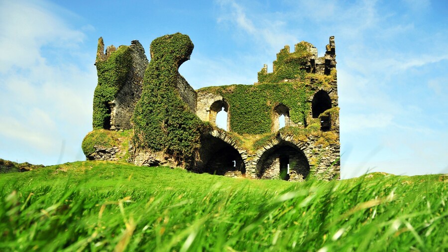 0_d80518bc-2d90-46cc-b69b-b73da235ce50_raw