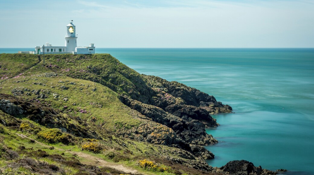 The beautiful Pembrokeshire Coast. Plenty of wildlife to be seen here including seals, sea birds and sometimes even dolphins