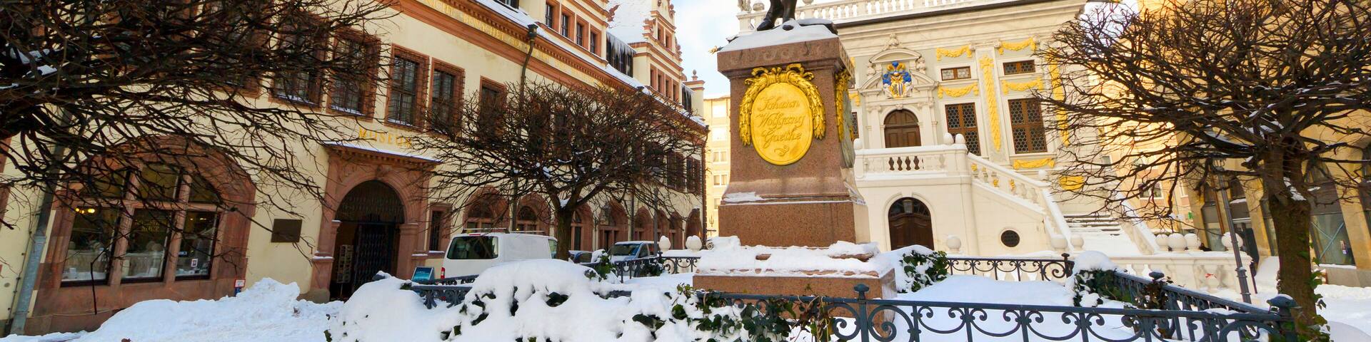 Goethe Denkmal in Leipzig auf den Naschmarkt vor der Alten Handelsbörse im Winter.