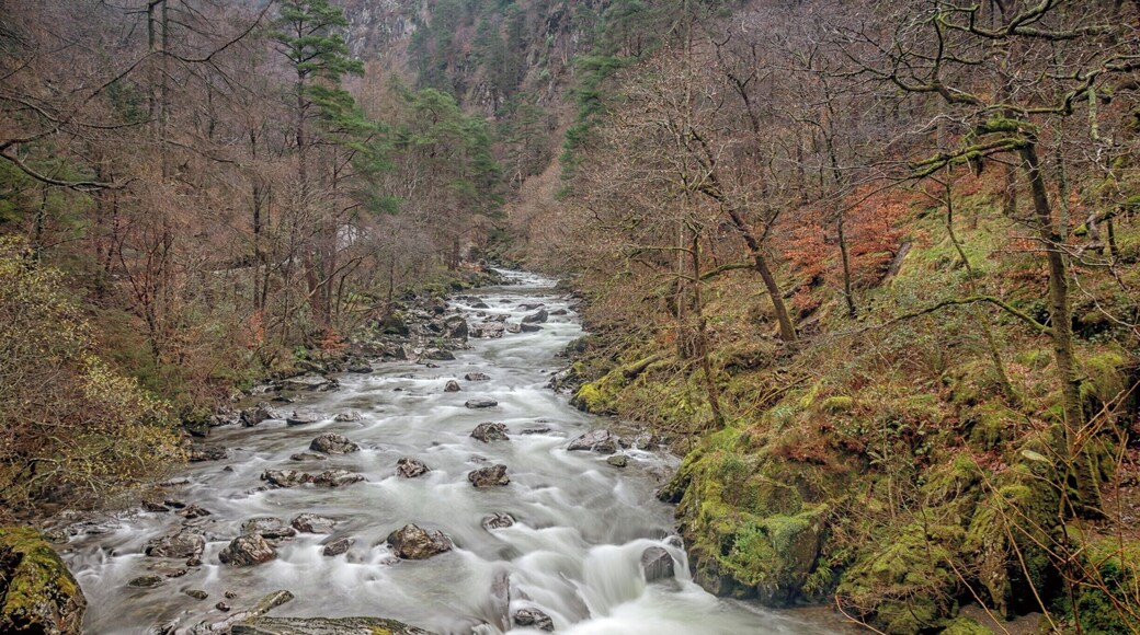 A cold Winter day in the Snowdonia National Park. This area is a must to visit if your a landscape photographer or just a landscape lover