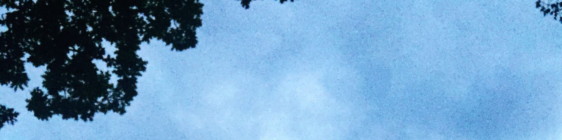 Jodrell Bank and the Lovell Radio Telescope.
Explore astronomy past and current at Jodrell Bank. You can see the 3rd biggest radio telescope in the world and learn more about incredible past astronomy projects and new ambitious ones in the future.
Look for special events, like the bluedot Festiva where music and science come together over the weekend.
#science #astronomy #manchester #england #sciencetourist #space