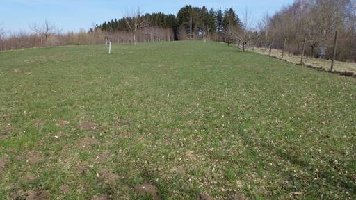 Endmoräne Vogelberg nördllich von Geltendorf. Aufnahme von W. Trotz Bewuchs ist erkennbar, daß der Südhang etwas steiler ist als der Nordhang