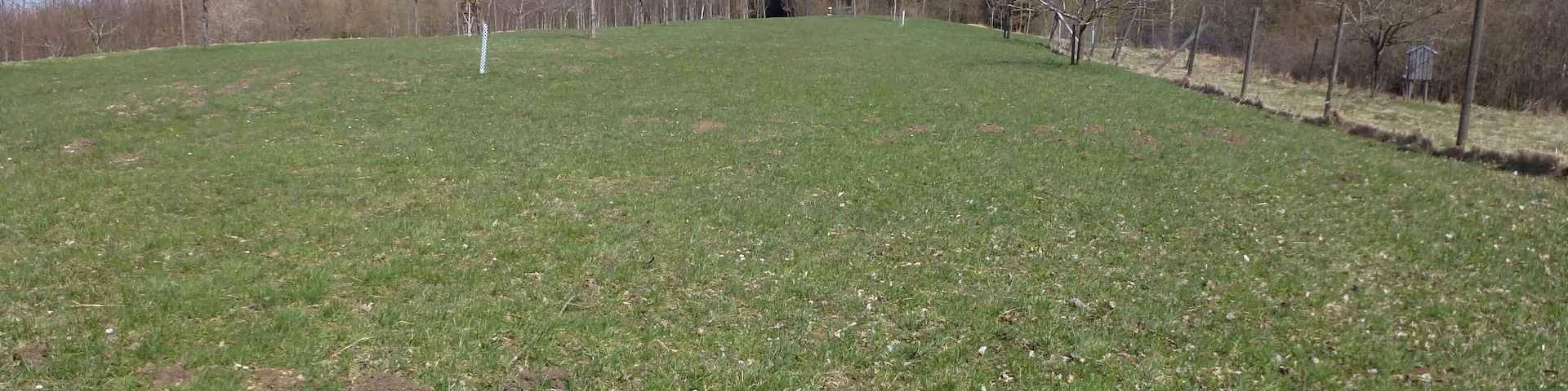 Endmoräne Vogelberg nördllich von Geltendorf. Aufnahme von W. Trotz Bewuchs ist erkennbar, daß der Südhang etwas steiler ist als der Nordhang