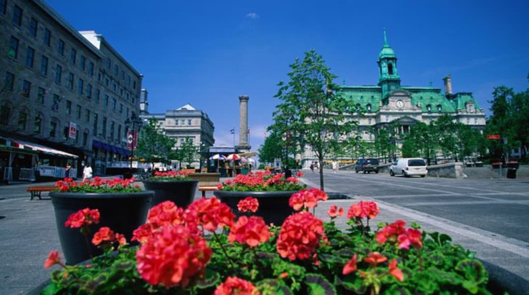 Parc Jacques Cartier