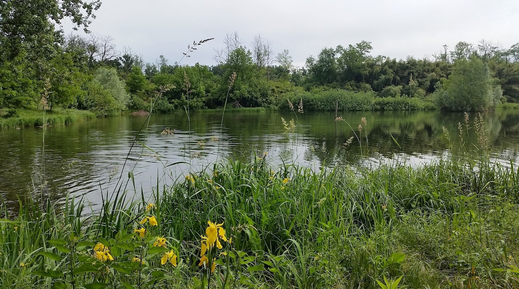 The authorisation for taking photos of this object was provided by the World Wide Fund for Nature Italy.
