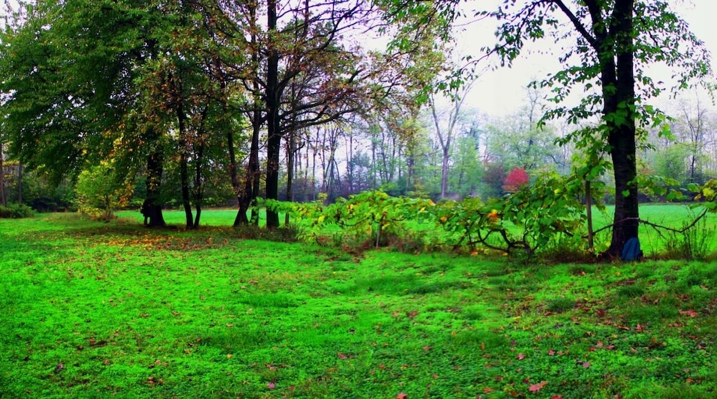 The authorisation for taking photos of this object was provided by the World Wide Fund for Nature Italy.