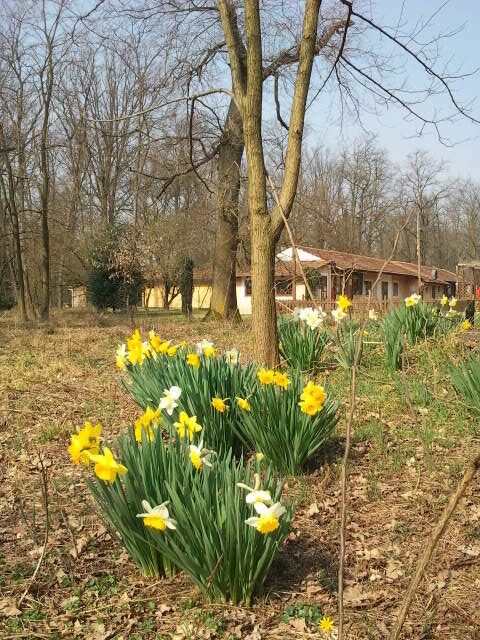 The authorisation for taking photos of this object was provided by the World Wide Fund for Nature Italy.