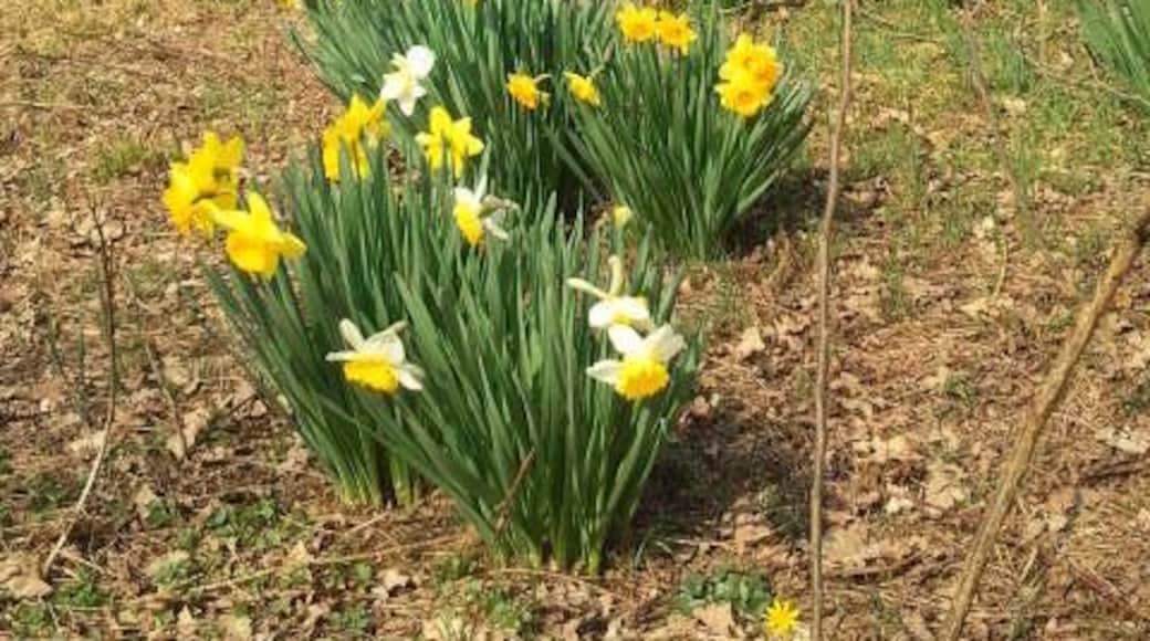 The authorisation for taking photos of this object was provided by the World Wide Fund for Nature Italy.