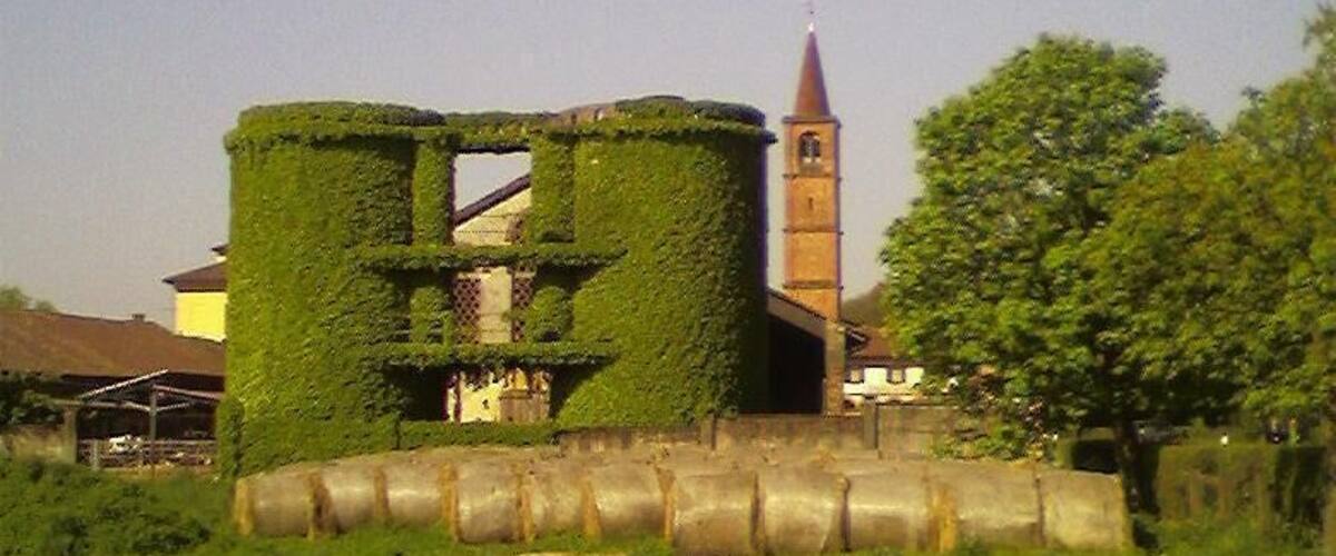 A green-covered structure with a tower in the background.