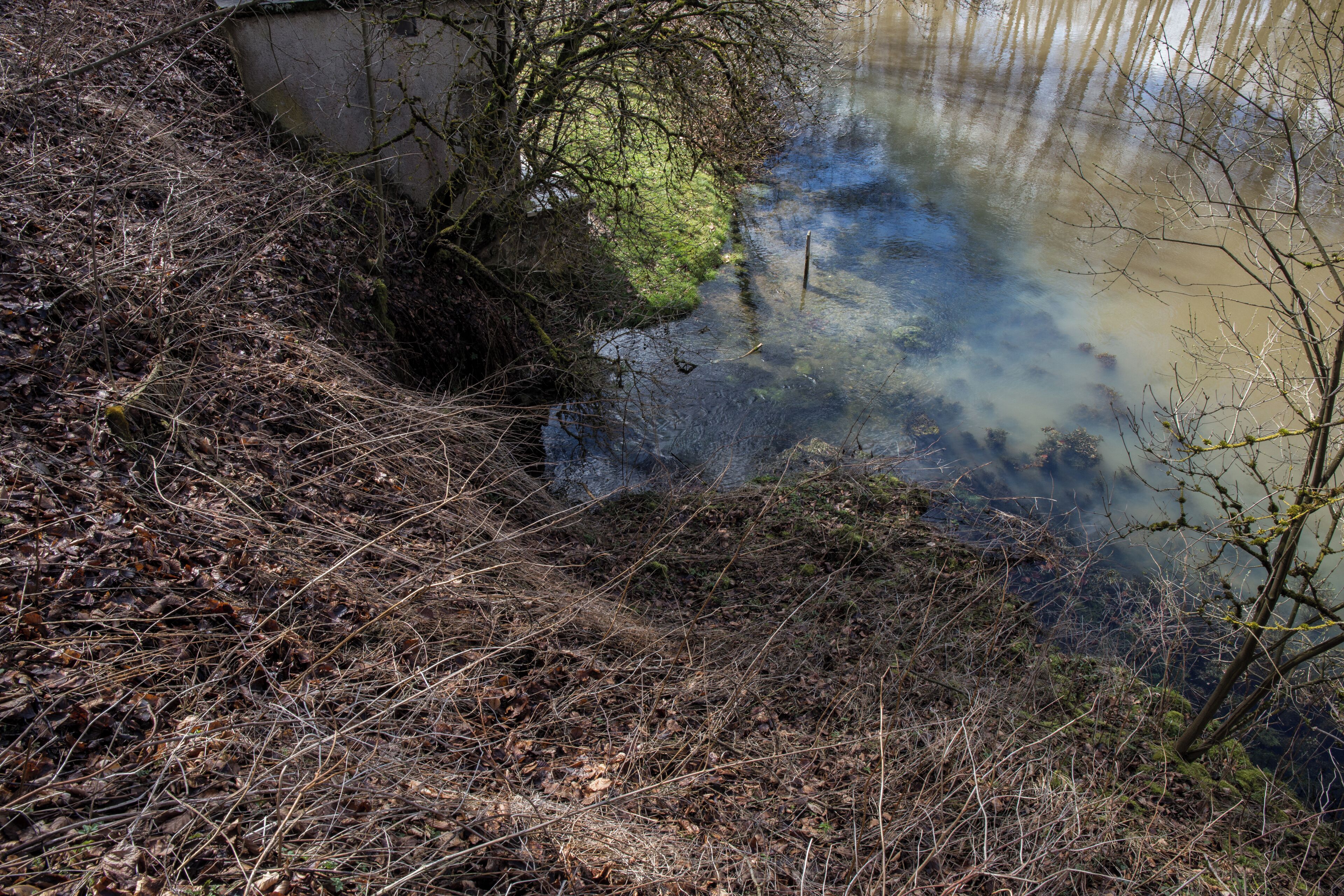 Kurzer Lauf des Schwarmbrunnens in die Pegnitz