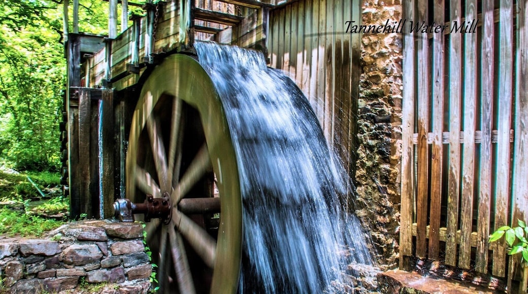 Tannehill Ironworks Historical State Park has more than 1,500 acres in three counties set aside for hiking, camping and outdoor recreation. #nature