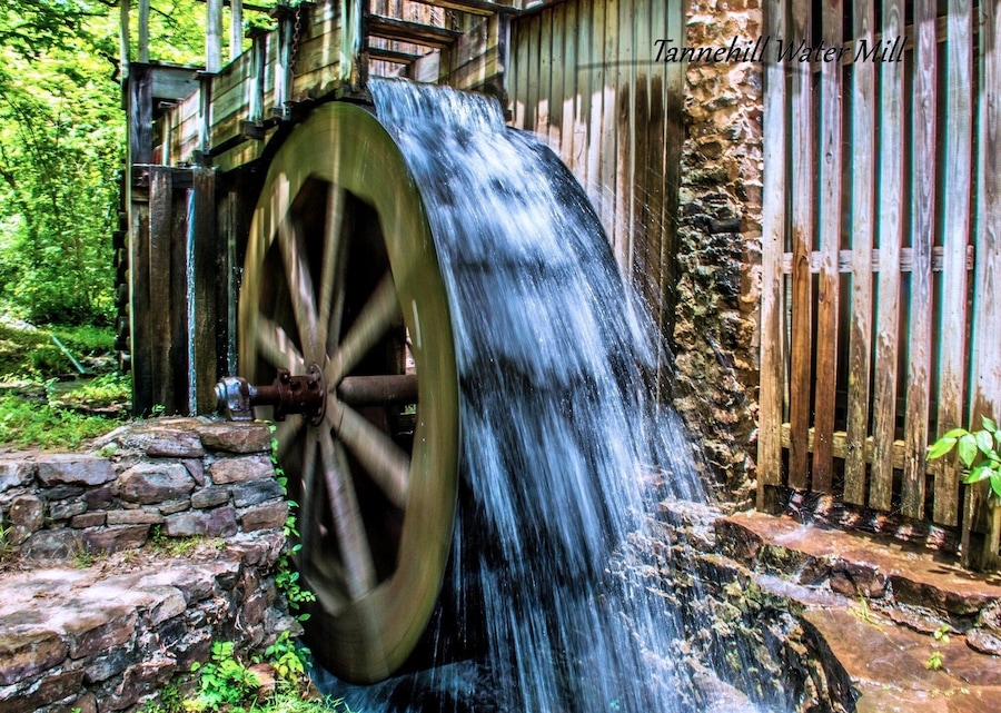 Tannehill Ironworks Historical State Park has more than 1,500 acres in three counties set aside for hiking, camping and outdoor recreation. #nature