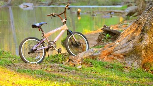 Tannehill Ironworks Historical State Park has more than 1,500 acres in three counties set aside for hiking, camping and outdoor recreation. A miniature railroad chugs through the pines. From spring through fall, the blacksmith, miller and craftsmen demonstrate their trades.