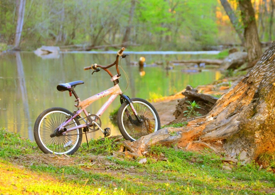 Tannehill Ironworks Historical State Park has more than 1,500 acres in three counties set aside for hiking, camping and outdoor recreation. A miniature railroad chugs through the pines. From spring through fall, the blacksmith, miller and craftsmen demonstrate their trades.