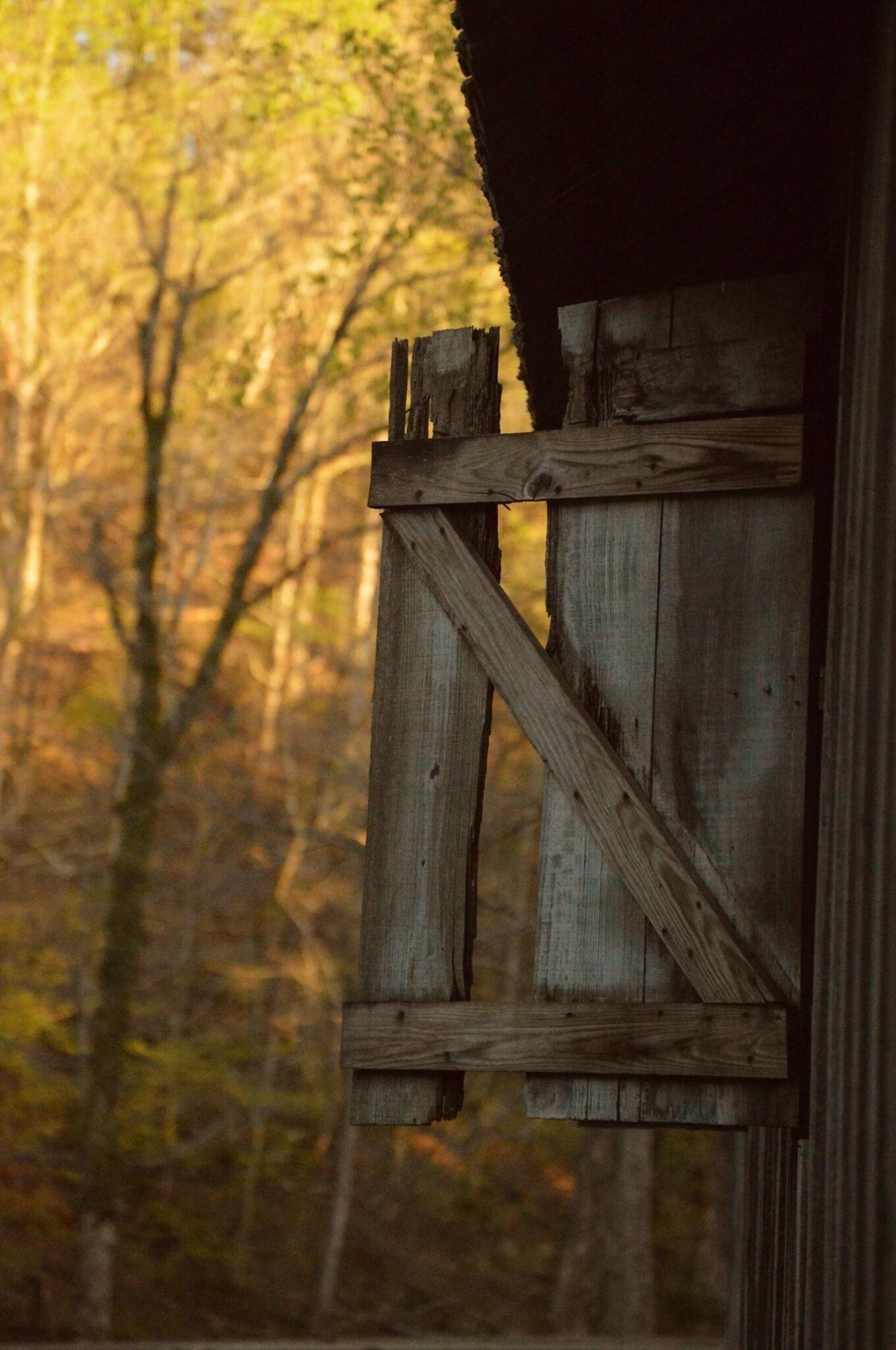 Tannehill Ironworks Historical State Park has more than 1,500 acres in three counties set aside for hiking, camping and outdoor recreation. A miniature railroad chugs through the pines. From spring through fall, the blacksmith, miller and craftsmen demonstrate their trades.