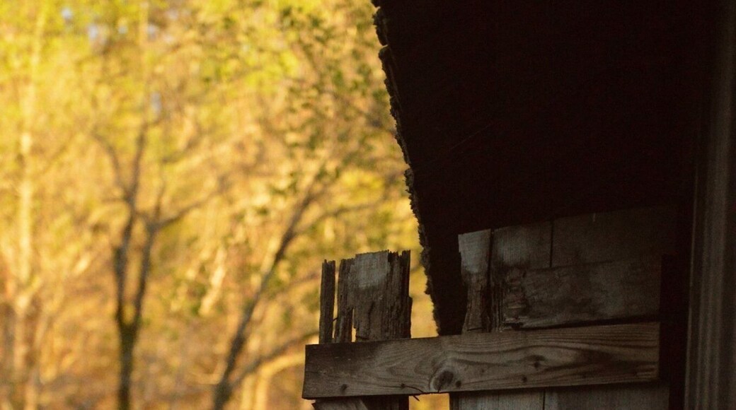 Tannehill Ironworks Historical State Park has more than 1,500 acres in three counties set aside for hiking, camping and outdoor recreation. A miniature railroad chugs through the pines. From spring through fall, the blacksmith, miller and craftsmen demonstrate their trades.