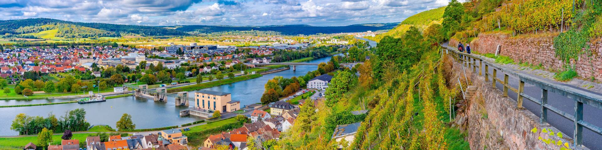 Klingenberg am Main im Panorama