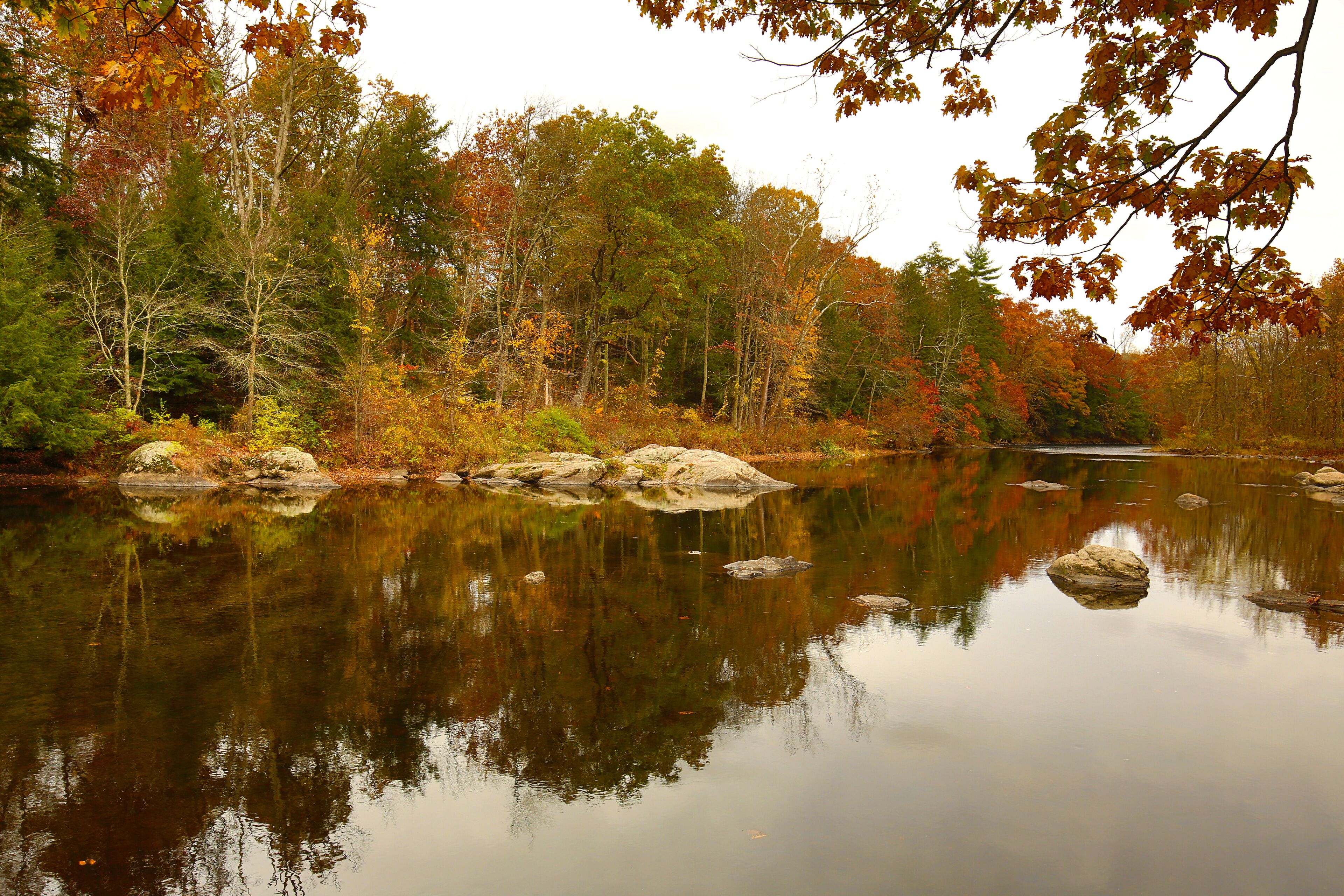 Colorful fall foliage along the Farmington River in Connecticut.