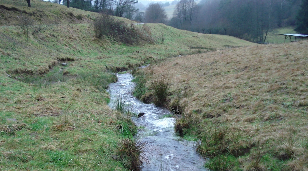 Der Roßbach kurz nach seinem Ursprung