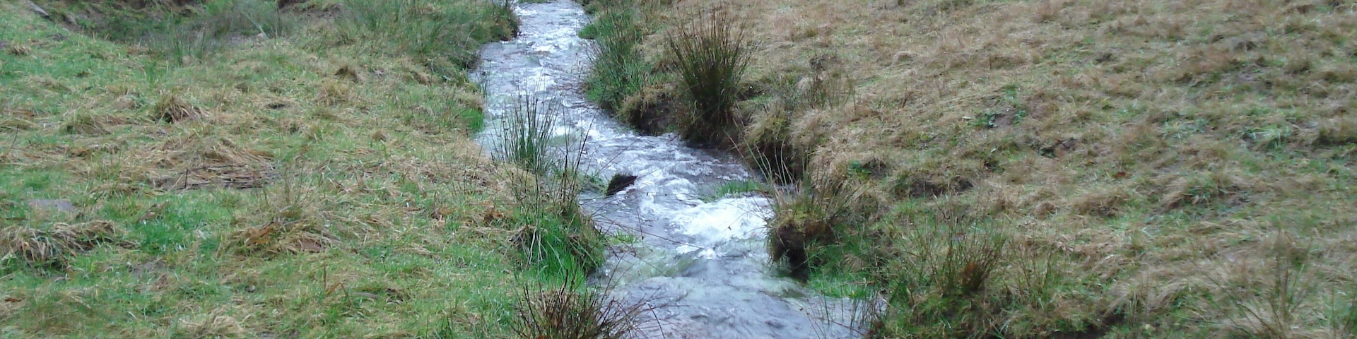 Der Roßbach kurz nach seinem Ursprung