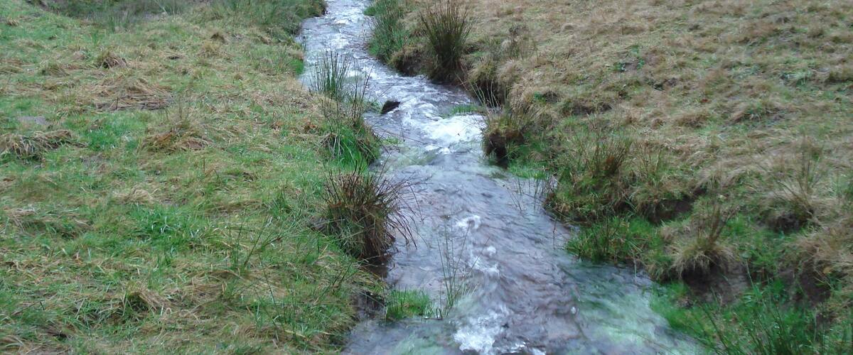A small stream flowing through a grassy hillside.