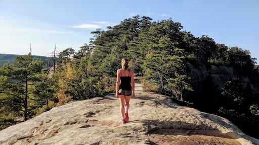 EMERGENCY NATURE STOP!!! 10 hours in to a year-long road trip we desperately needed to get out of the truck and stretch our legs. 4.5 hours wasn't nearly enough time to explore the Red River Gorge, but we just couldn't resist stopping to get a taste of what this magical place is all about. #adventure