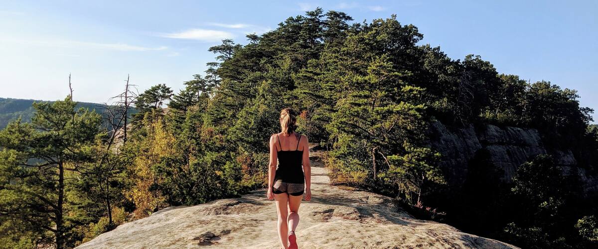A person standing on a rocky outcrop with a forested mountain in the background.