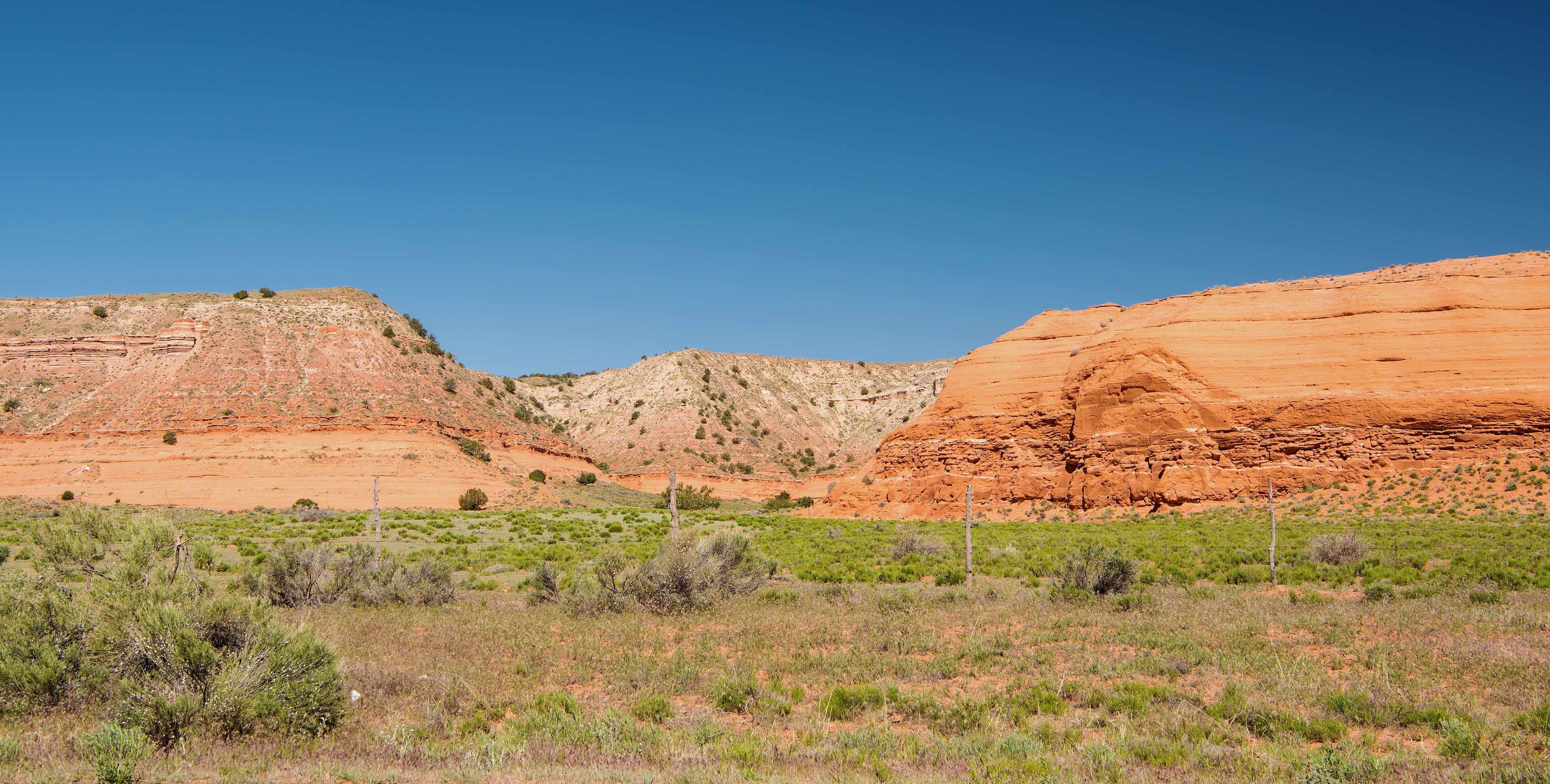 A desert landscape with red rock formations and sparse green vegetation.