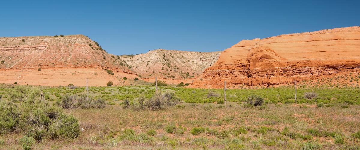 A desert landscape with red rock formations and sparse green vegetation.