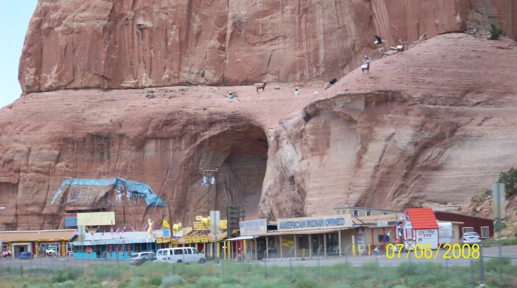 Those little creatures and things have been there for as long as I can remember.