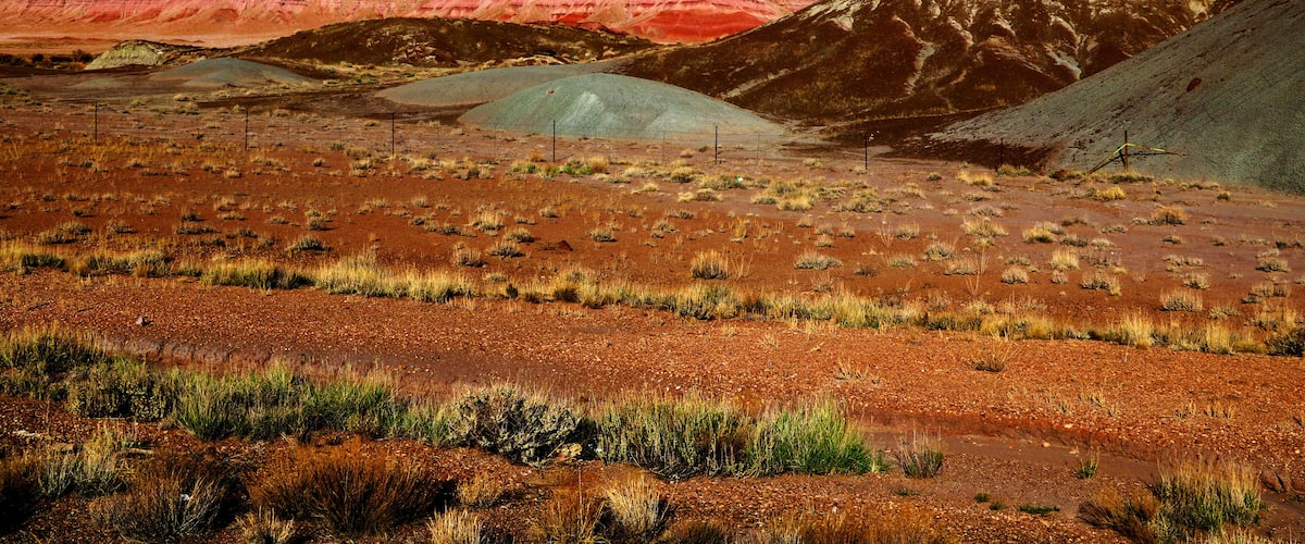 Paisaje desértico con colinas rojas y marrones, vegetación escasa y cielo azul despejado.