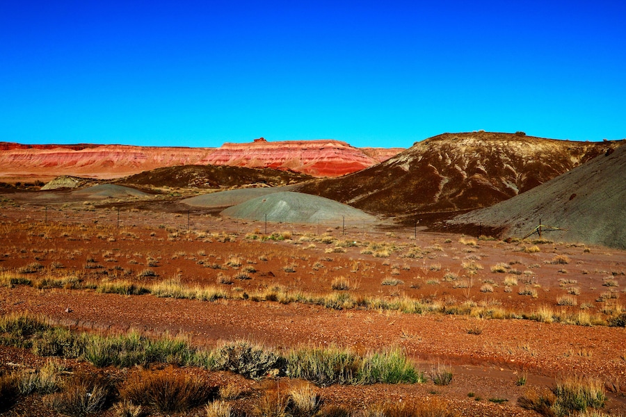 A desert landscape with red and brown hills, sparse vegetation, and a clear blue sky.