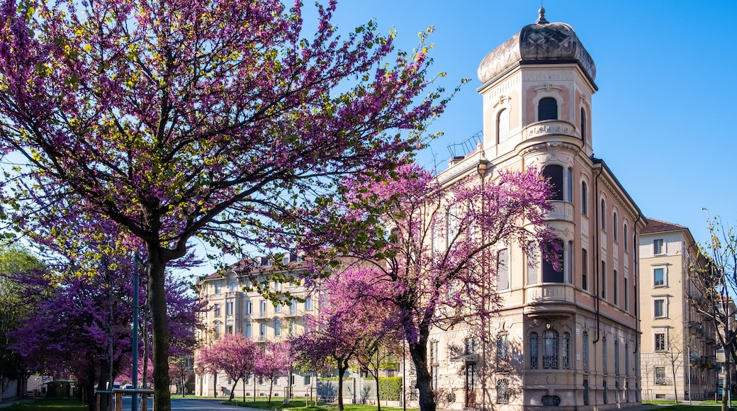 flowering trees in a public park and old architecture in Turin (Piedmont), Italy.