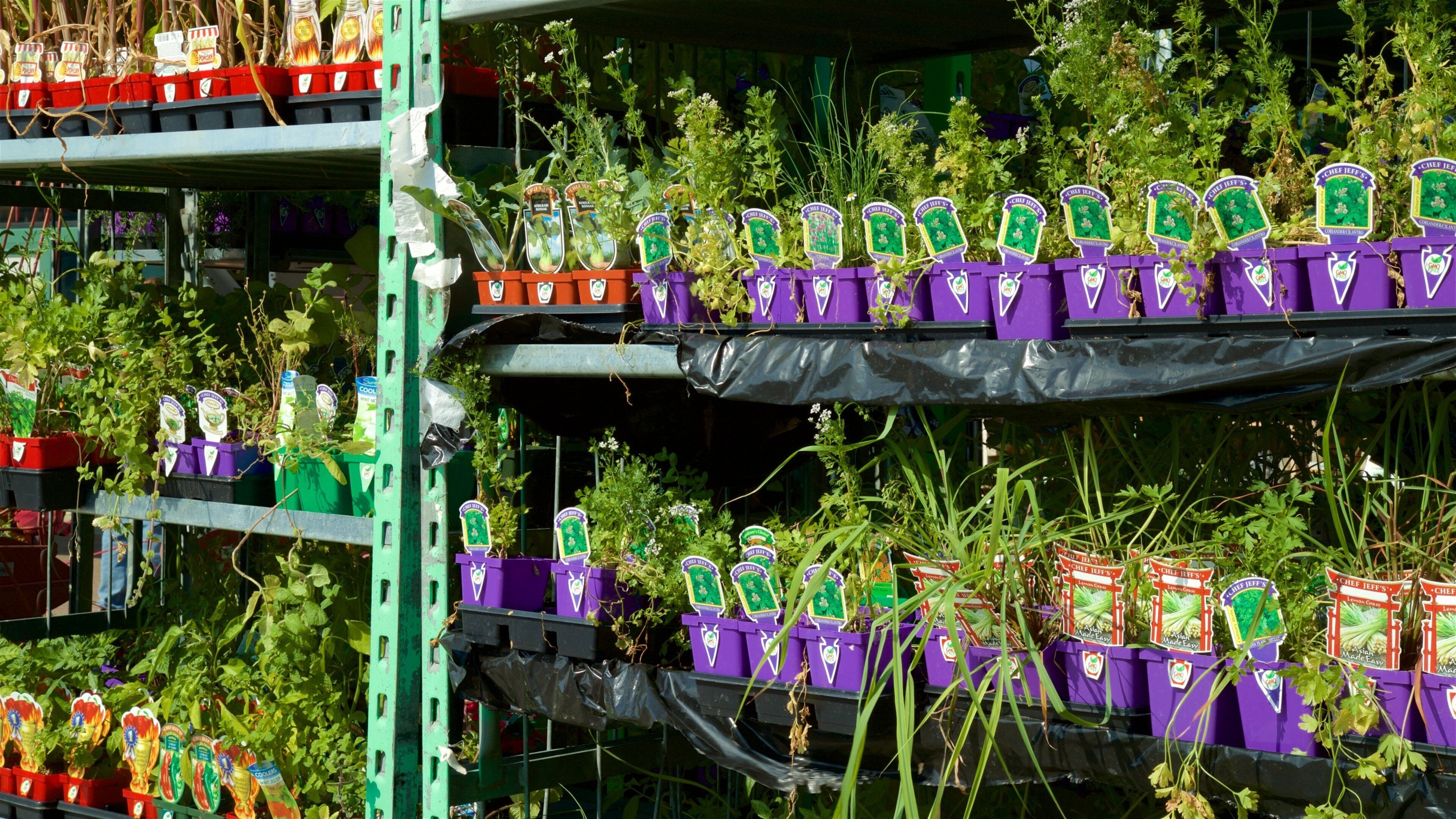 River Market mostrando un jardín