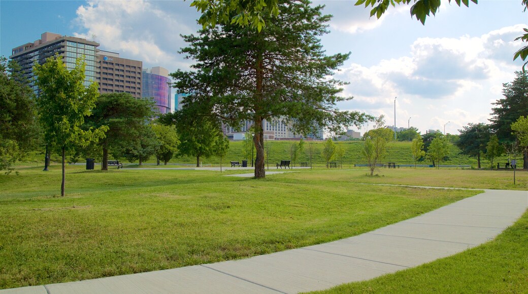 River Market showing a city and a garden