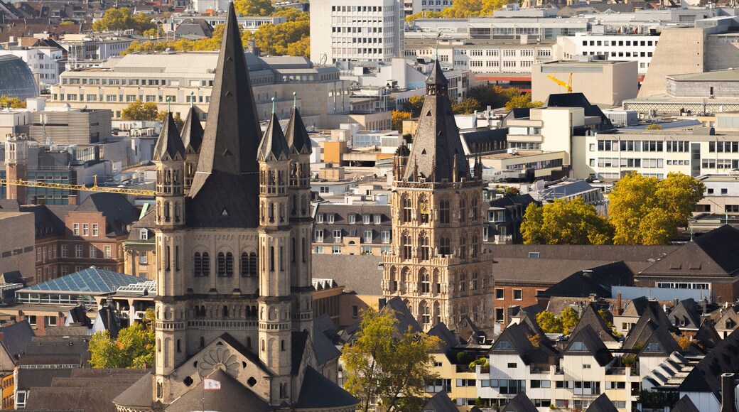 Cologne Triangle Panorama showing a city, landscape views and heritage architecture