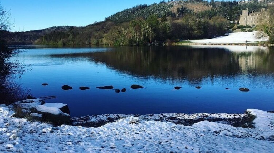 Castlwellan forest park in the snow ❄️ #beautiful #view #lake #icy #snow