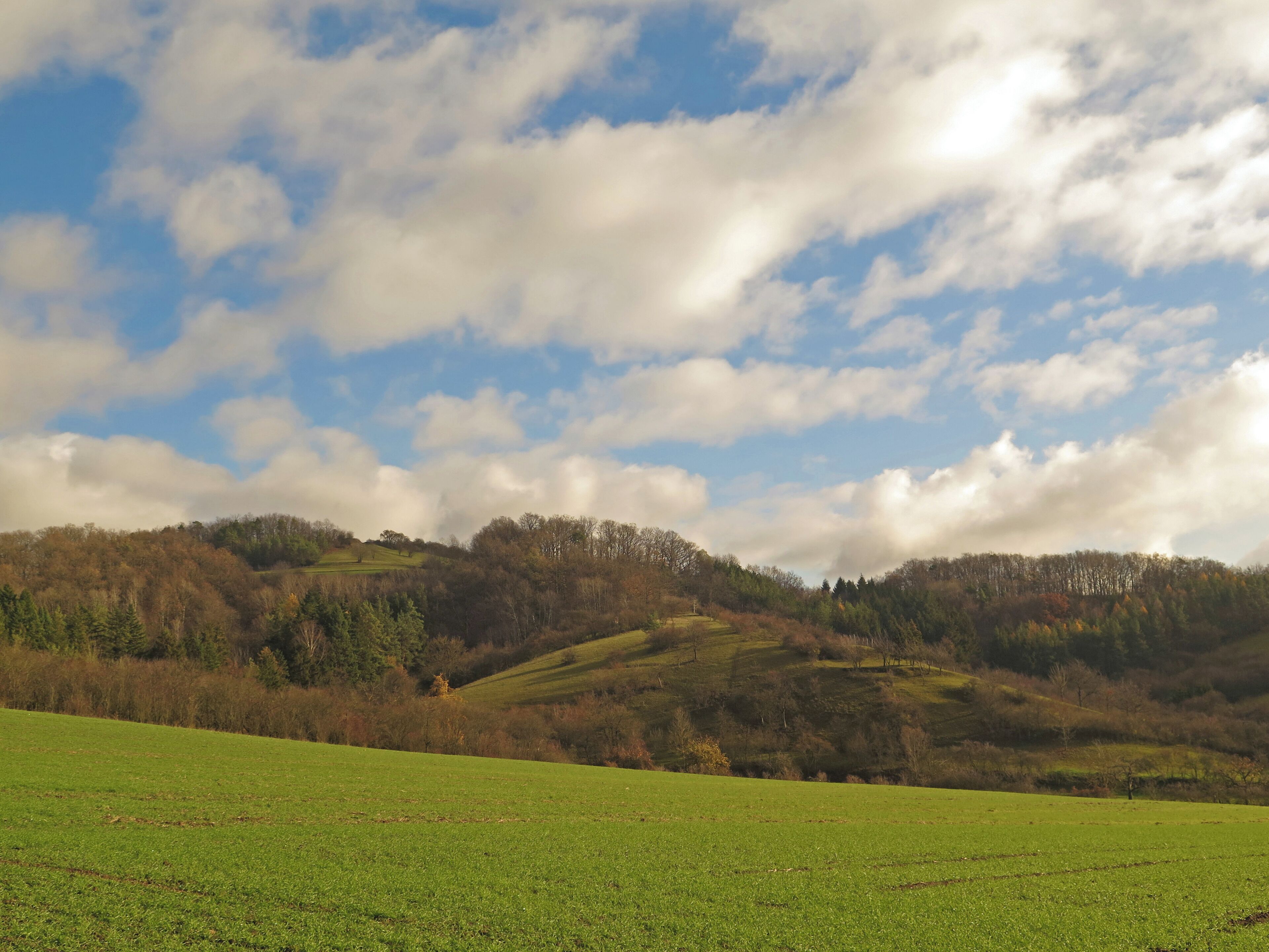 (NSG:BY-NSG-00517.01)_Hohe Wann