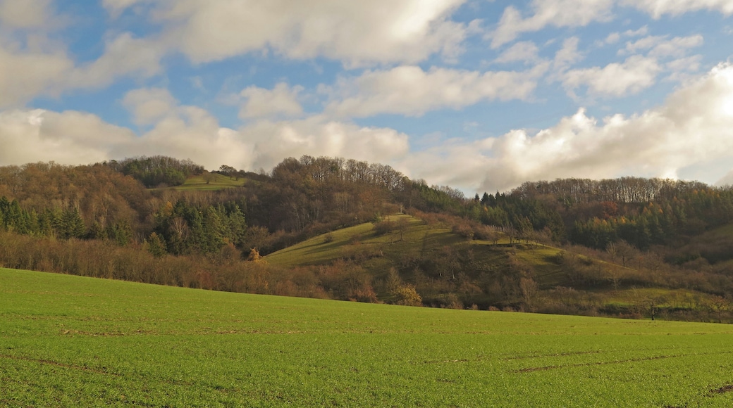 (NSG:BY-NSG-00517.01)_Hohe Wann